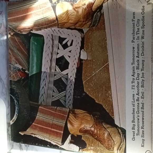 Vintage vinyl record Charlie Daniels TE John Grease & Wolfman - Picture 3 of 3